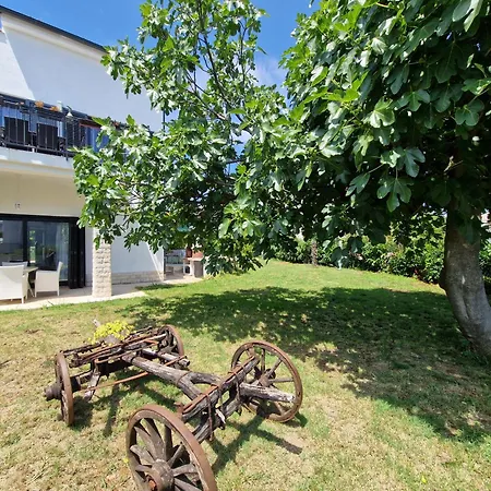 House Viola By Istra Vacation Ferienhaus
