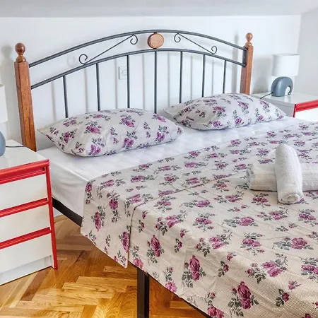 House Viola * 풀라