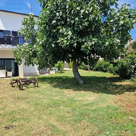 Dom wakacyjny House Viola Pula