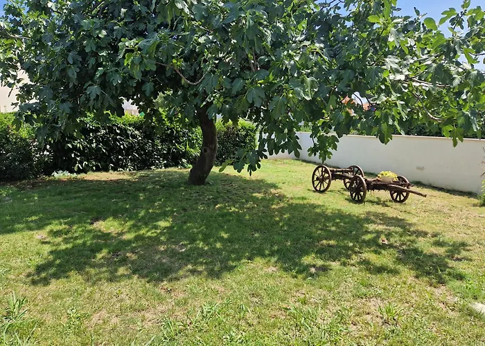 Prázdninový dům House Viola By Istra Vacation *