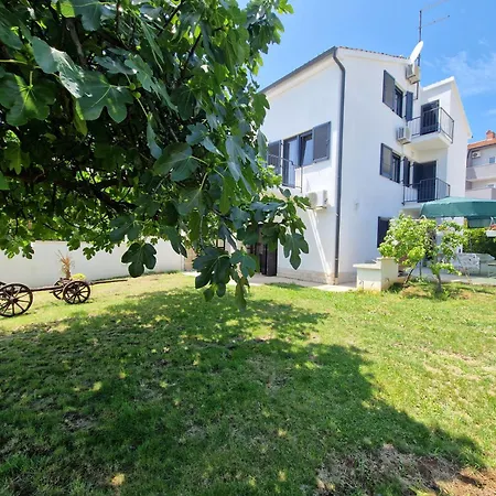 House Viola By Istra Vacation * Pula