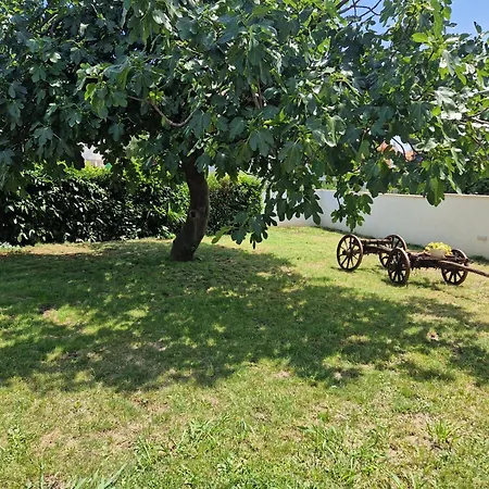 Holiday home House Viola By Istra Vacation *